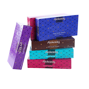 Alokozay Facial Tissue 100 × 6 Pack