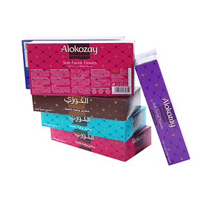 Alokozay Facial Tissue 100 × 6 Pack