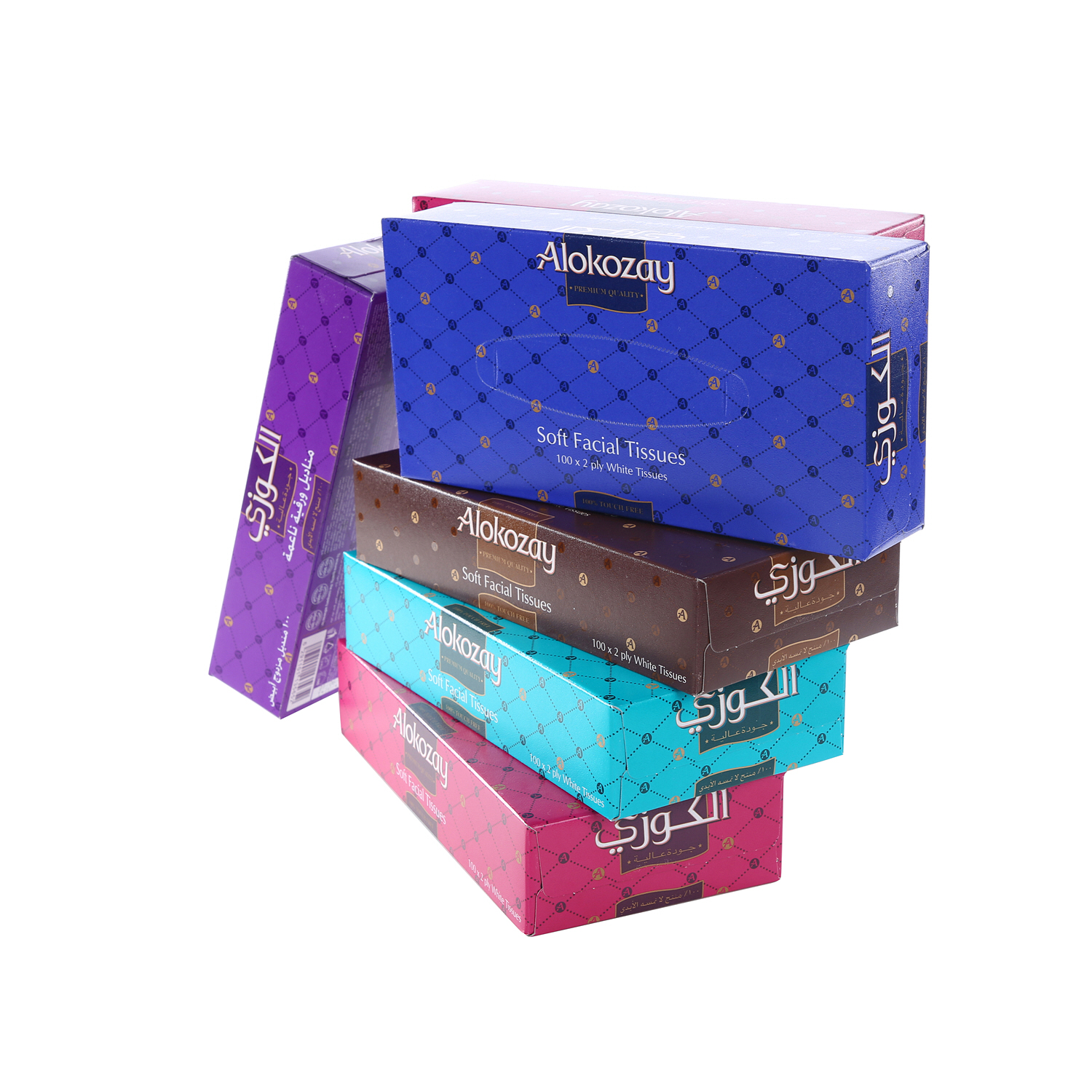 Alokozay Facial Tissue 100 × 6 Pack