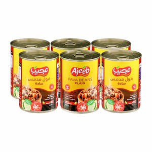Ajeeb Fava Beans Plain 6X400G