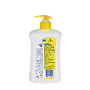 Dettol Fresh Anti Bacterial Liquid Handwash 400 ml