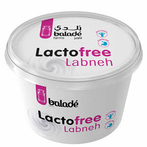 Balade Lacto Free Labneh 450 g