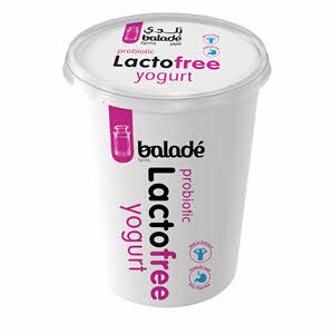 Balade Lacto Free Yoghurt 450 g