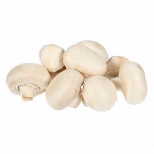 Mushroom Mushroom