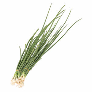 Spring Onion Herbs