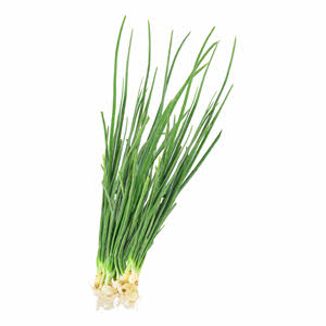 Spring Onion Organic