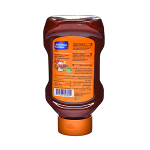 American Garden Tomato Ketchup Squeese 20 Oz