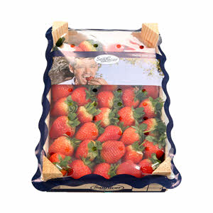 Strawberry Sanlucar