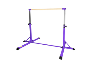 Dawson Gymnastic Horizontal Training Bar - Purple