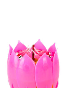 OUTAD Lotus Flower Musical Birthday Candle Pink/Green/Yellow