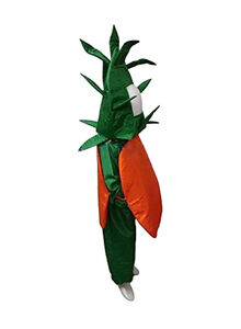 Generic Orange Fruit Fancy Dress Costume 7-8years