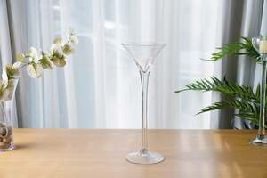 Pan Home Martin Glass Vase Clear 16x14x40cm