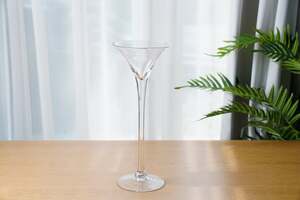 Pan Home Martin Glass Vase Clear 16x14x40cm