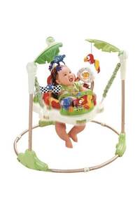 Generic Rainforest Jumperoo Walker Set