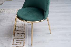 Pan Home Amador Low Back Dining Chair - Green and Gold