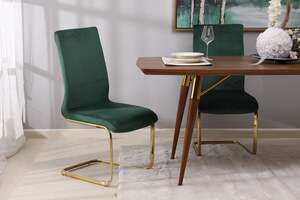 Pan Home Galoekon Dining Chair - Green and Gold