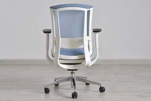 Pan Home Pancy Medium Back Office Chair