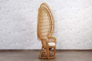 Pan Home Lambert Peacock Chair