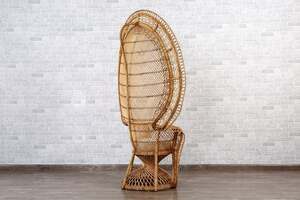 Pan Home Lambert Peacock Chair